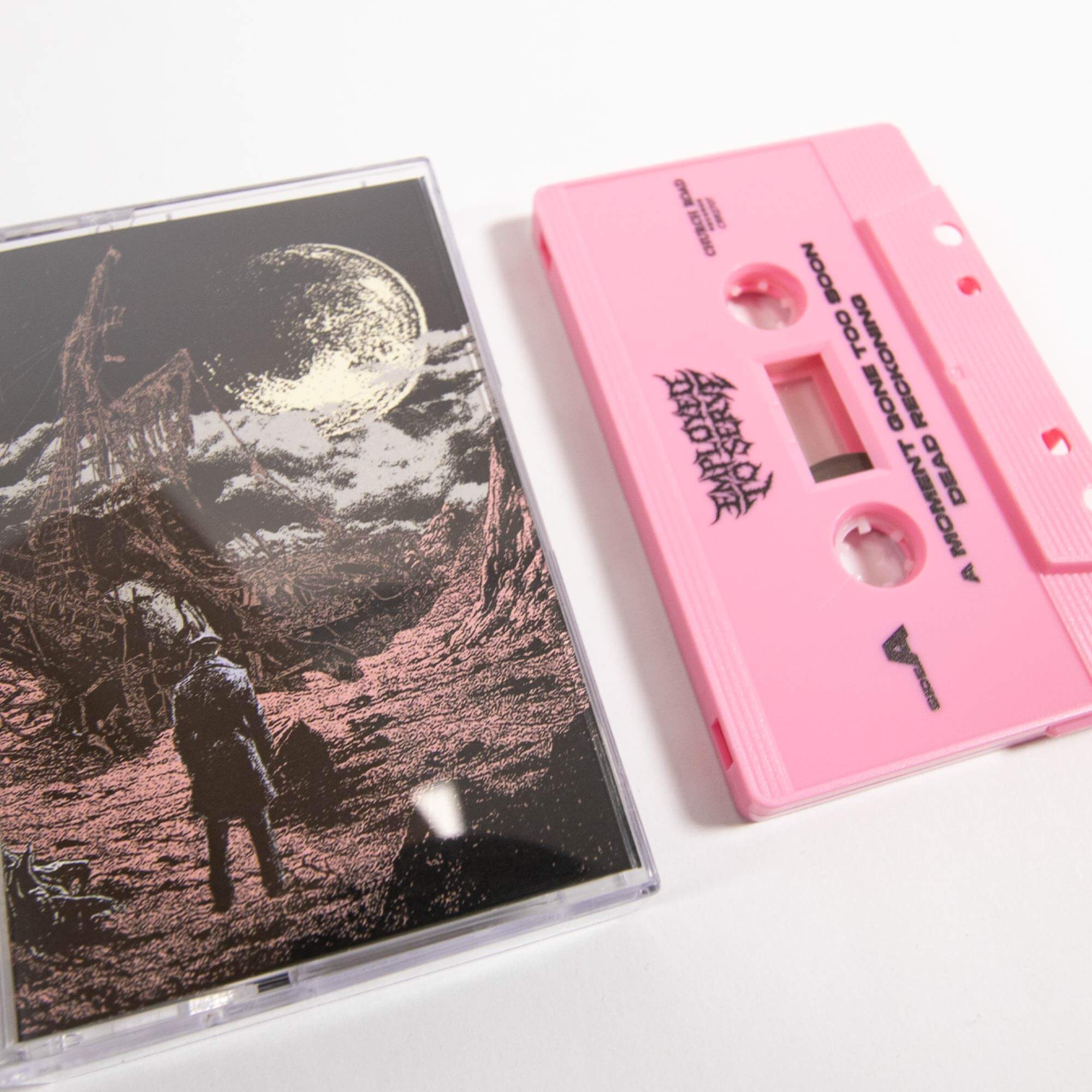 A Moment Gone Too Soon/Dead Reckoning Cassette - Pink